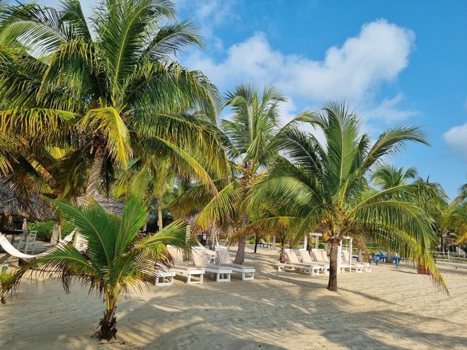 Caribbean Beach Cabanas Placencia Экстерьер фото