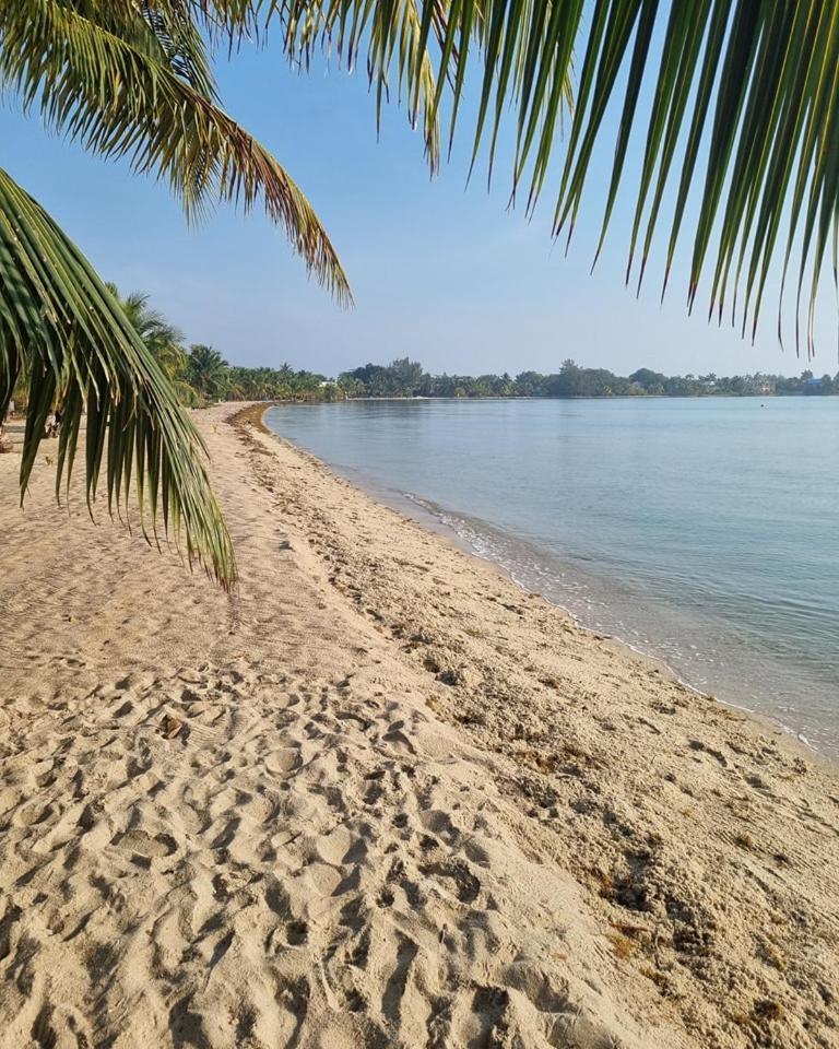 Caribbean Beach Cabanas Placencia Экстерьер фото